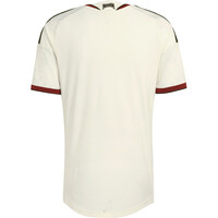 adidas camiseta de fútbol oficiales MANCHESTER UNITED 26/27 AUTHENTIC MARRON 05
