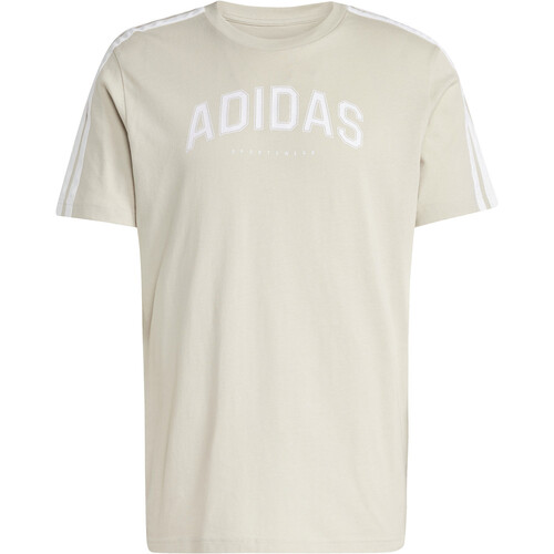 adidas camiseta manga corta hombre CODES COLLEGIATE LINEAR GRAPHIC MARRON