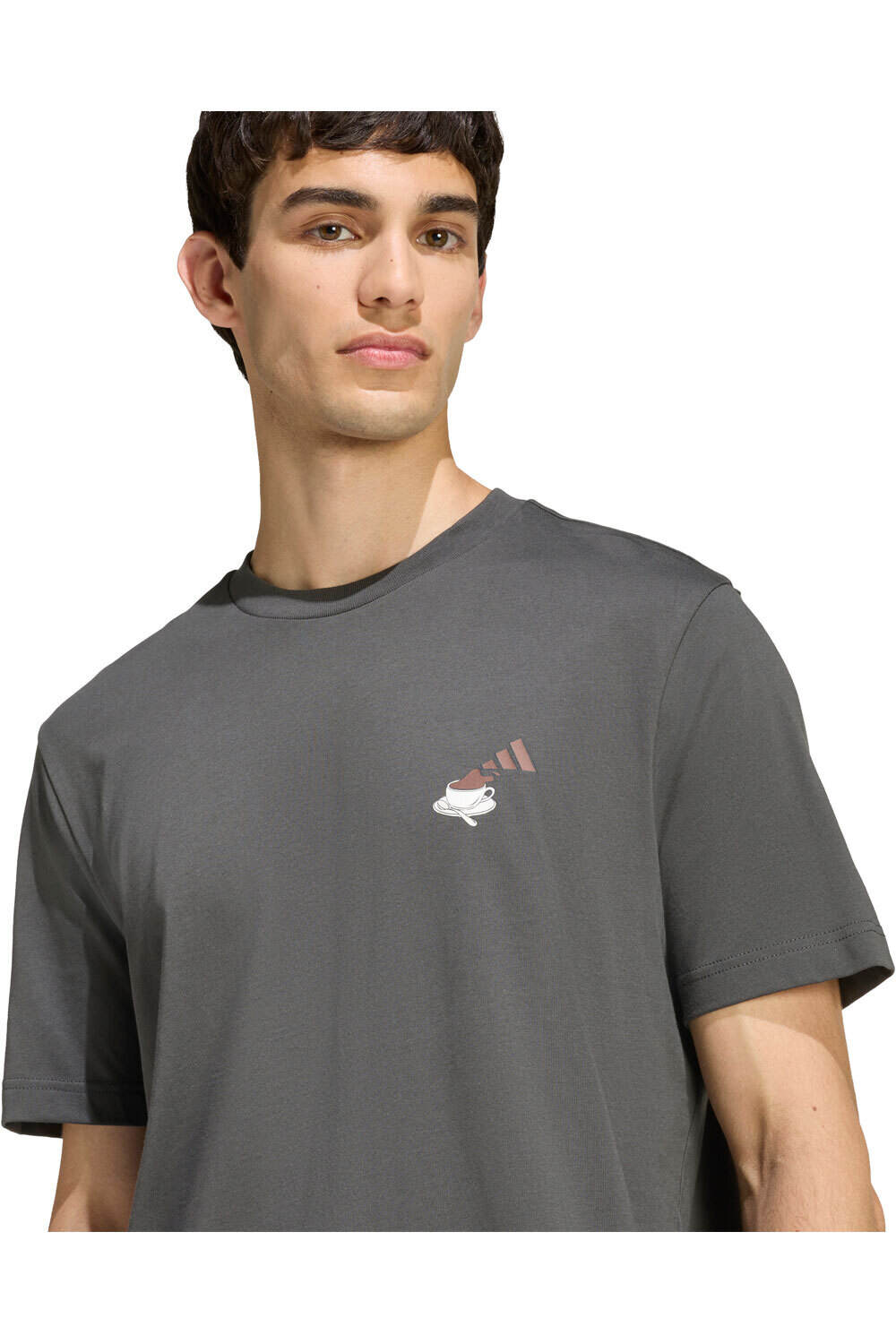 adidas camiseta manga corta hombre COFFEE CAFE CHEESCAKE GRAPHIC GRIS vista detalle