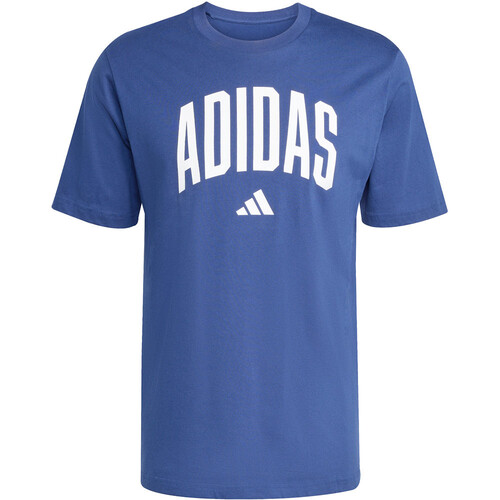 adidas camiseta manga corta hombre COLLEGIATE LINEAGE GRAPHIC AZUL