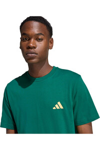 adidas camiseta manga corta hombre I LIKE THE STRIPES GRAPHIC VERDE 03