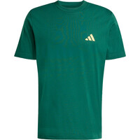 adidas camiseta manga corta hombre I LIKE THE STRIPES GRAPHIC VERDE 04