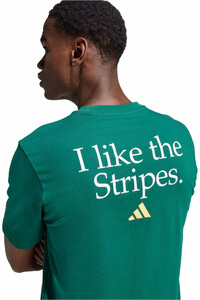 adidas camiseta manga corta hombre I LIKE THE STRIPES GRAPHIC VERDE vista detalle