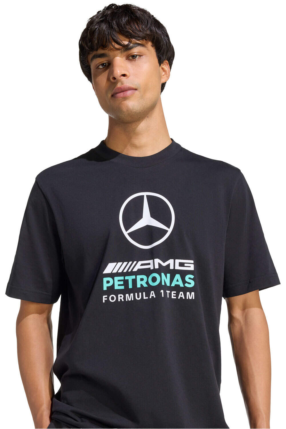 adidas camiseta manga corta hombre MERCEDES-AMG PETRONAS FORMULA 1 TEAM DNA GRAPHIC NEGRO vista detalle