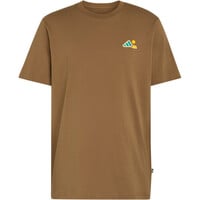 adidas camiseta montaña manga corta hombre TERREX CAMPER MARRON 04
