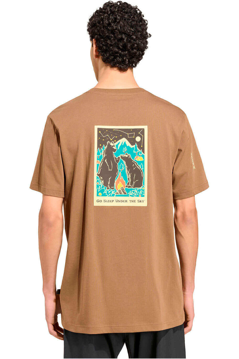 adidas camiseta montaña manga corta hombre TERREX CAMPER MARRON vista trasera