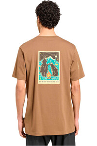 adidas camiseta montaña manga corta hombre TERREX CAMPER MARRON vista trasera