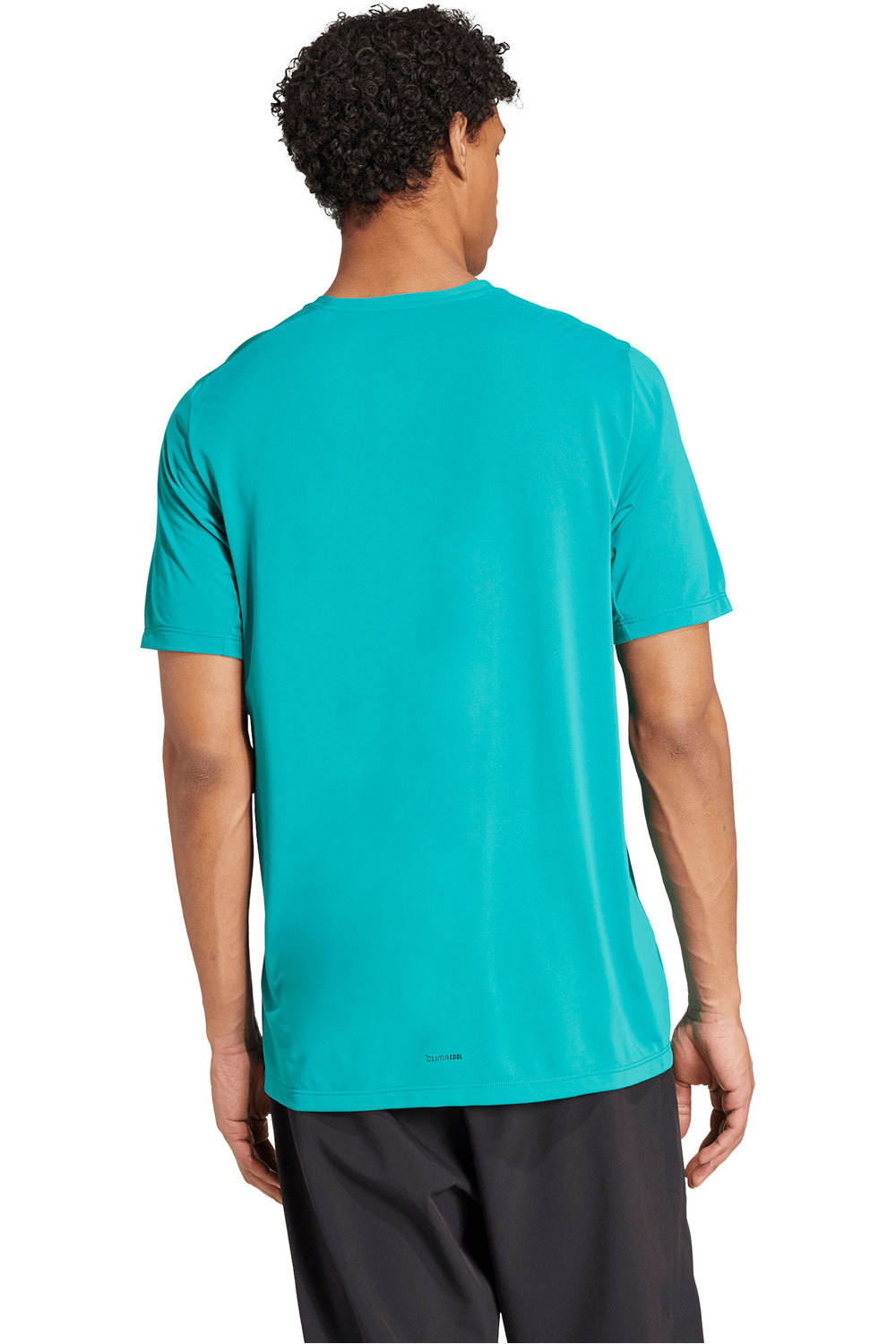 adidas camiseta montaña manga corta hombre TERREX CLIMACOOL LOGO VERDE vista trasera