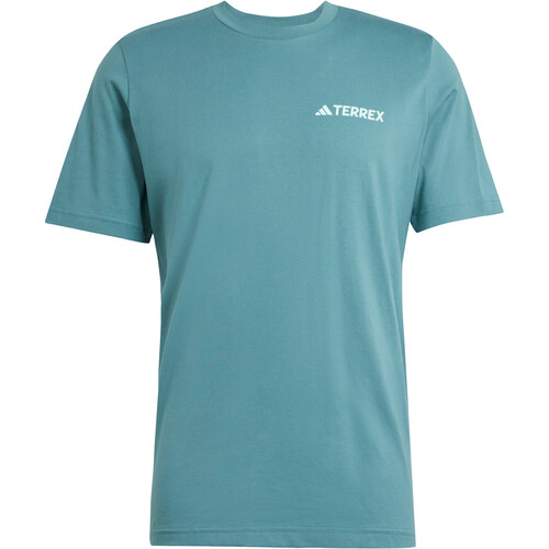 ADIDAS TERREX GRAPHIC verde