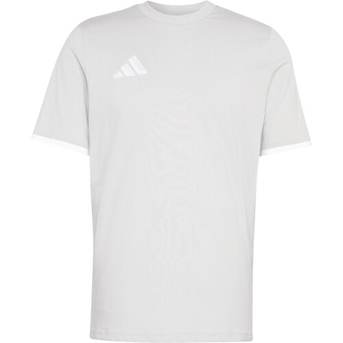 ADIDAS ENTRADA26 gris