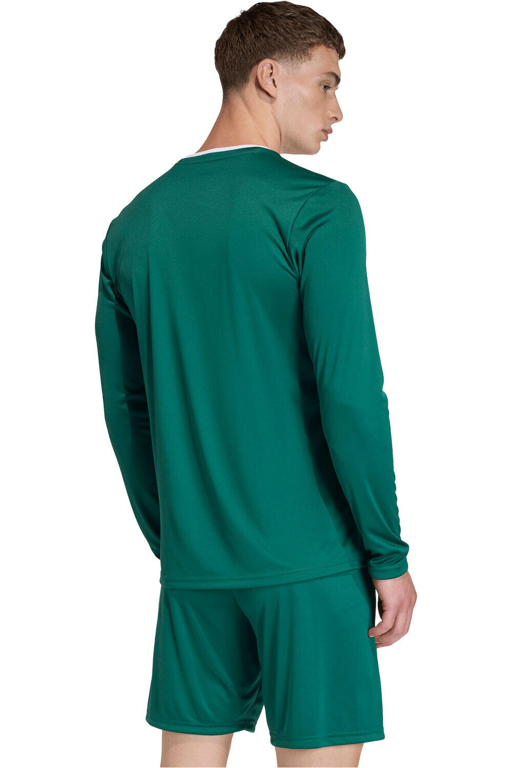 adidas camisetas fútbol manga corta ENTRADA26 VERDE vista trasera