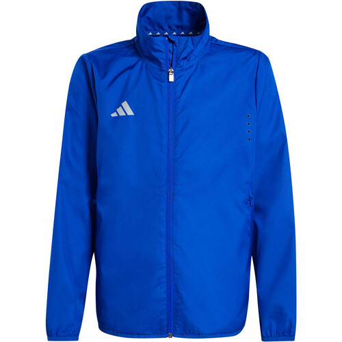 ADIDAS TEAM RDY azul