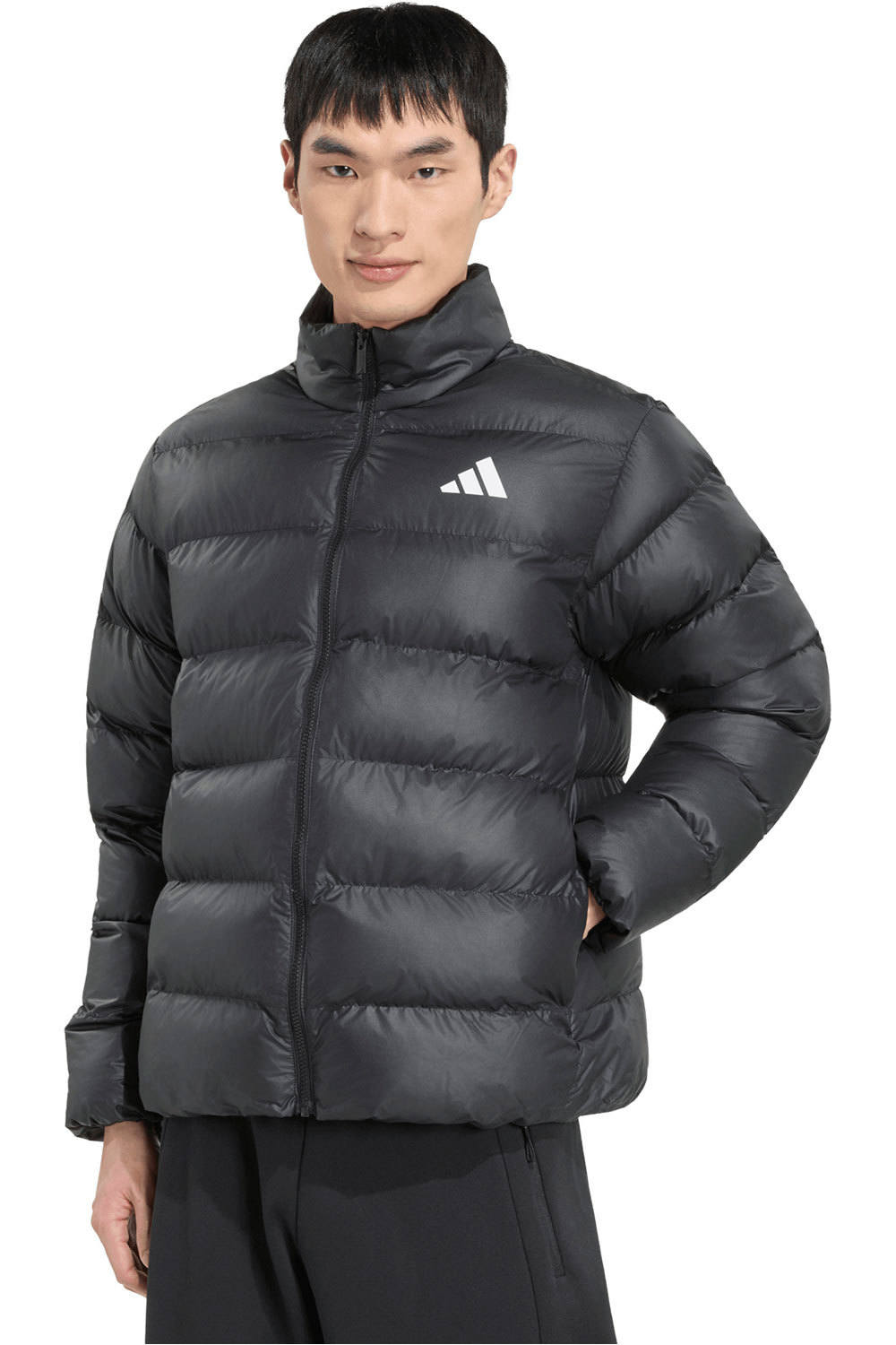 adidas chaquetas hombre ESS SD PUF J NEGRO vista frontal