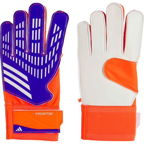 ADIDAS PREDATOR TRAINING azul
