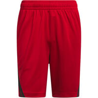 adidas pantalón baloncesto LEGENDS 3 STRIPES ROJO 04