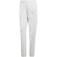 adidas pantalón mujer TIRO 25 GRIS vista detalle