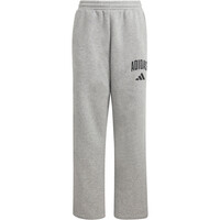 adidas pantalón niño SEASONALS COLLEGIATE TYPOGRAPHY GRIS 04
