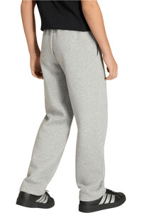 adidas pantalón niño SEASONALS COLLEGIATE TYPOGRAPHY GRIS vista trasera