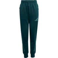 adidas pantalón niño Z.N.E. VERDE 04
