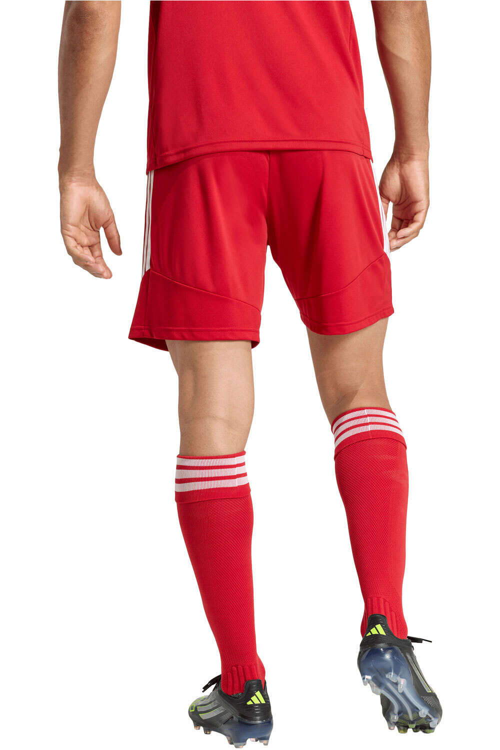 adidas pantalones cortos futbol TIRO26 LEAGUE ROJO vista trasera