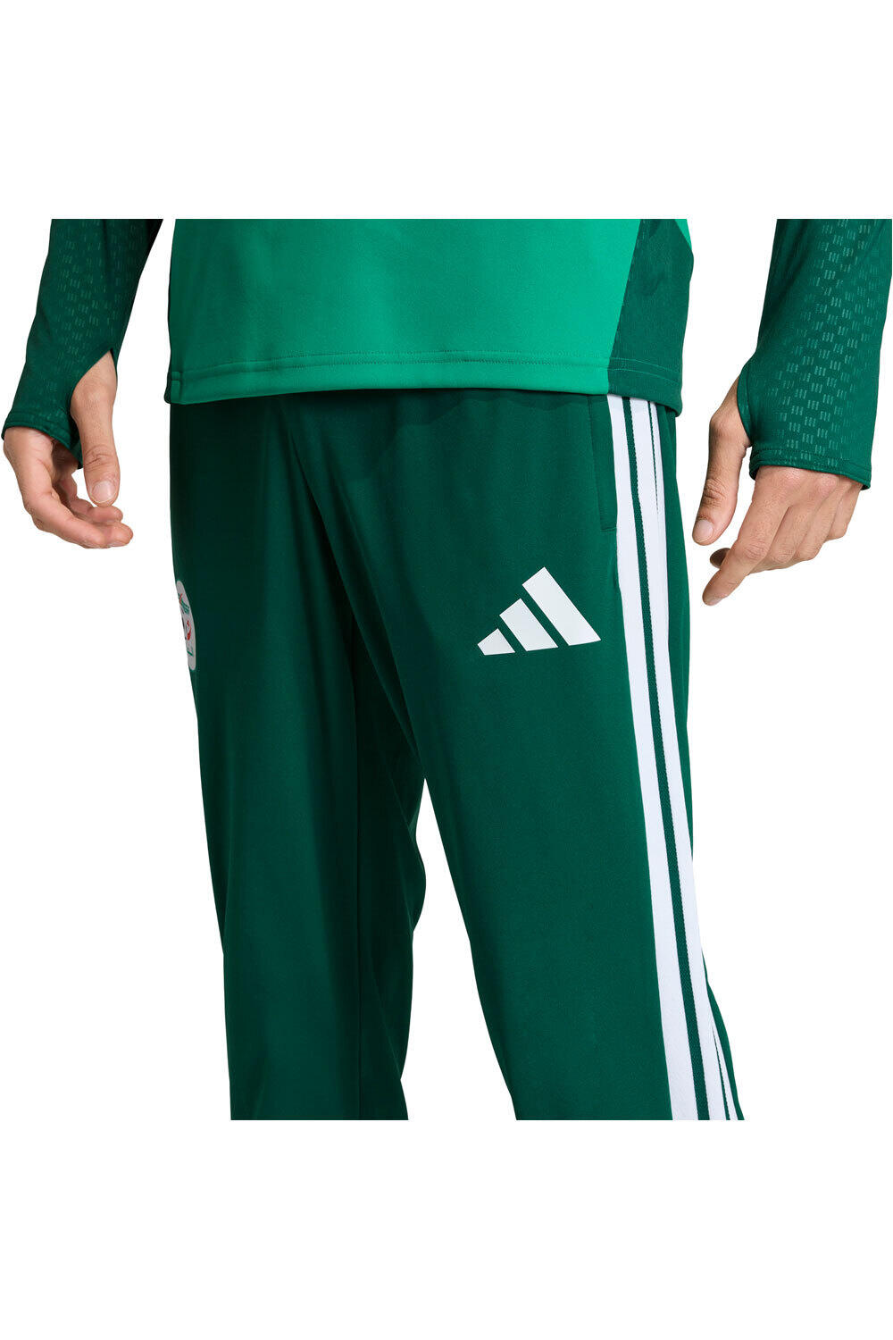 adidas pantalones futbol ARGELIA MUNDIAL 2026 ENTRENAMIENTO VERDE vista detalle