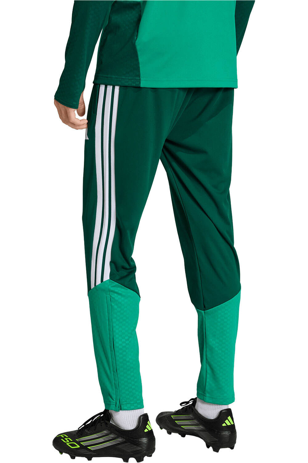 adidas pantalones futbol ARGELIA MUNDIAL 2026 ENTRENAMIENTO VERDE vista trasera