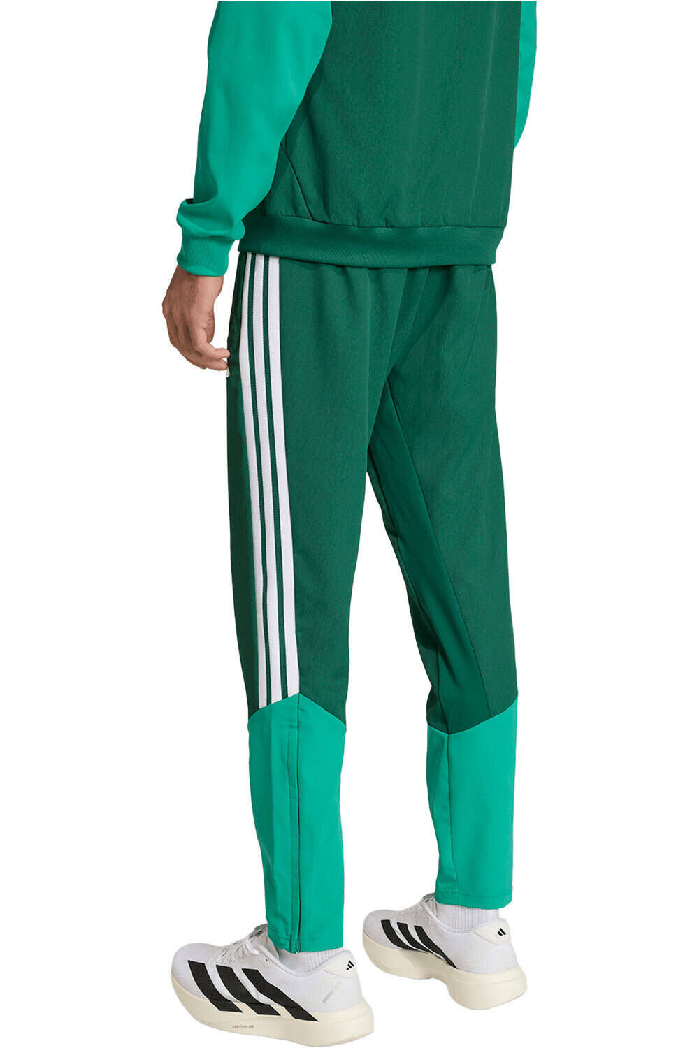 adidas pantalones futbol ARGELILA MUNDIAL 2026 VERDE vista trasera