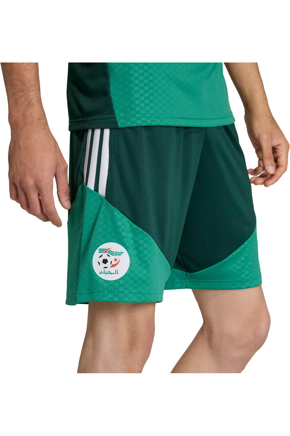 adidas pantalones fútbol oficiales ARGELIA MUNDIAL 2026 ENTRENAMIENTO VERDE vista detalle
