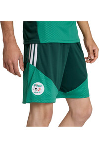 adidas pantalones fútbol oficiales ARGELIA MUNDIAL 2026 ENTRENAMIENTO VERDE vista detalle