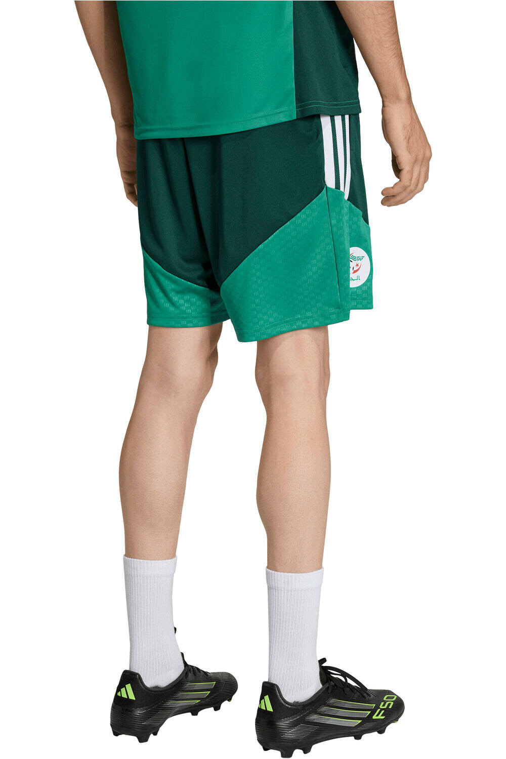 adidas pantalones fútbol oficiales ARGELIA MUNDIAL 2026 ENTRENAMIENTO VERDE vista trasera