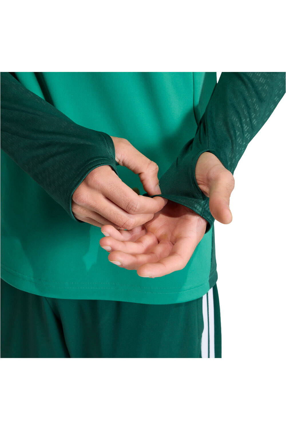 adidas sudadera entrenamiento fútbol ARGELIA MUNDIAL 2026 ENTRENAMIENTO VERDE vista detalle