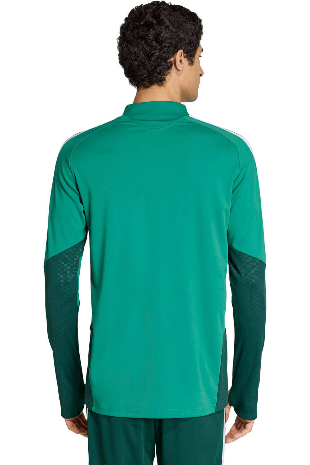 adidas sudadera entrenamiento fútbol ARGELIA MUNDIAL 2026 ENTRENAMIENTO VERDE vista trasera