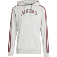 CODES COLLEGIATE GRAPHIC