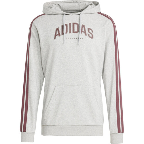 ADIDAS CODES COLLEGIATE GRAPHIC gris