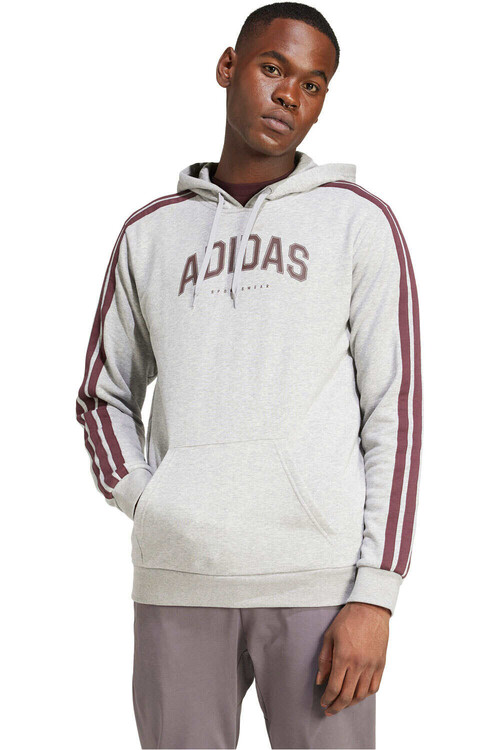 ADIDAS CODES COLLEGIATE GRAPHIC gris