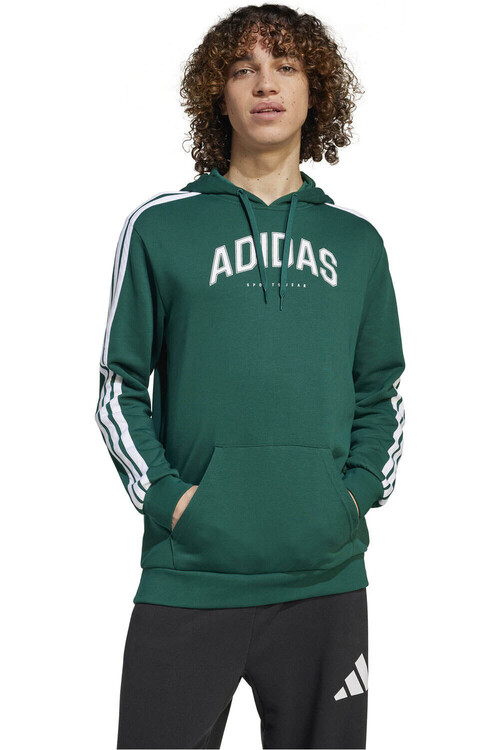 ADIDAS CODES COLLEGIATE GRAPHIC verde