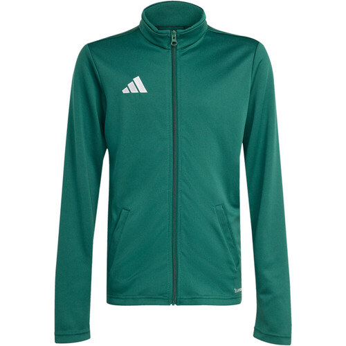ADIDAS ENTRADA26 verde