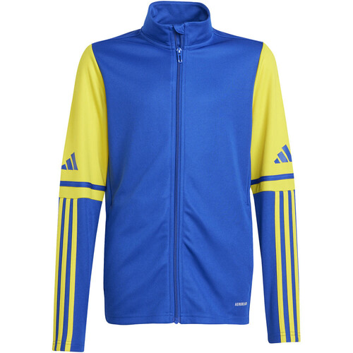 ADIDAS SQUADRA25 TRAINING azul