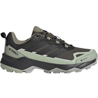 TERREX SKYCHASER AX5 GORE-TEX