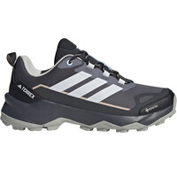 TERREX SKYCHASER AX5 GORE-TEX