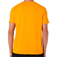Asics camiseta técnica manga corta hombre CORE NARANJA vista trasera