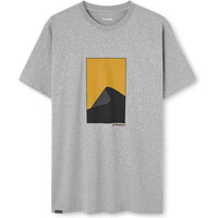 Astore camiseta manga corta hombre ROFFE GRIS