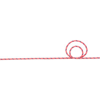 Beal cuerda escalada BERLIN 9.8 MM 70 M ROSA 03