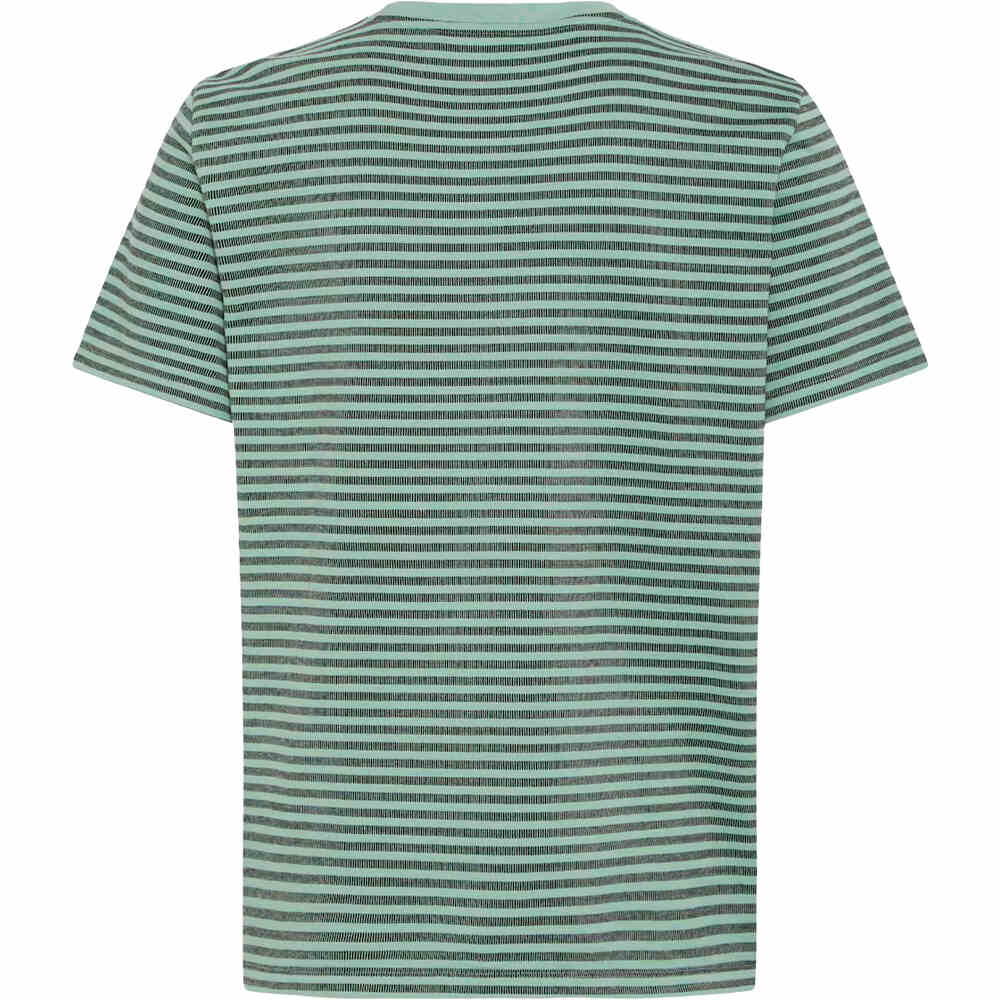 Blend camiseta manga corta hombre KADEK STRIPE VERDE vista trasera