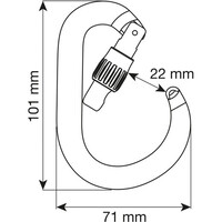 Camp mosquetón seguridad NIMBUS LOCK  01