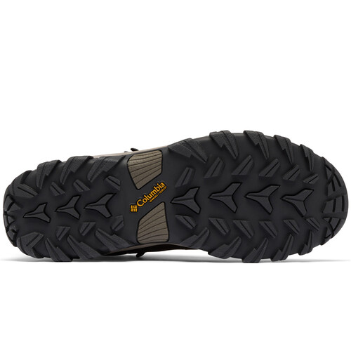 COLUMBIA NEWTON RIDGE PLUS II WATERPROOF marron