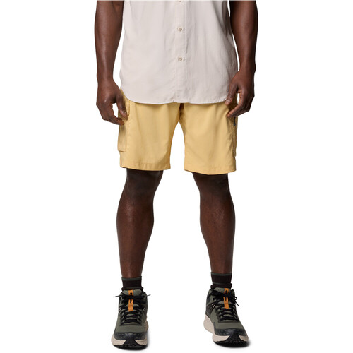 AM