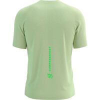 Compressport camisetas trail running manga corta hombre PERFORMANCE MORADO vista trasera