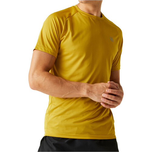 Dare2b camiseta montaña manga corta hombre ACCELERATE AMARILLO