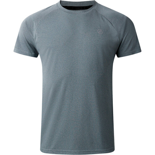 DARE2B ACCELERATE gris